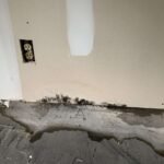This image shows significant floor and wall mold caused by flooding - Independent Restoration Services - Built On Service - Steps to mold removal.